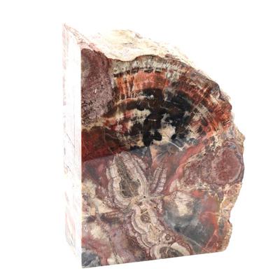 Sale Photo Thumbnail #247: Lot 246 gorgeous ancient rainbow petrified wood section