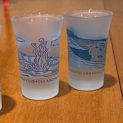 Icelandic Frosted Shot Glasses