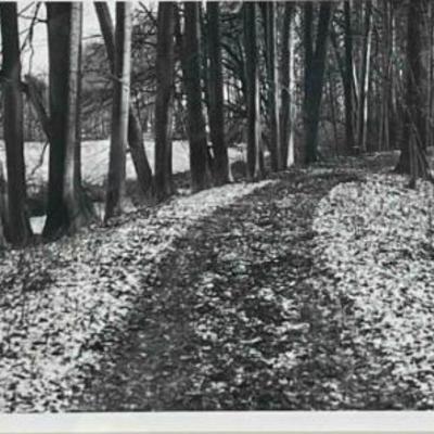 Sale Photo Thumbnail #104