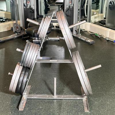 (20pc) MIXED WEIGHT PLATES | Various free weight plates including: 2 2.5lbs, 4 5lbs, 6 10lbs, 4 25lbs, 2 35lbs, 2 45lbs plates - dia. 18...