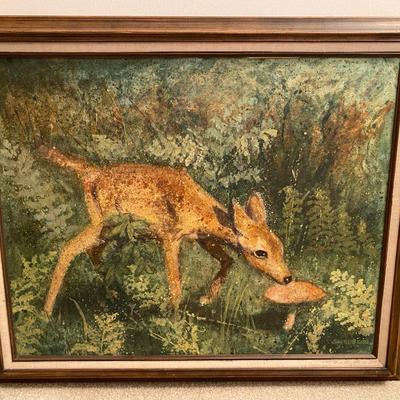 Curious Deer