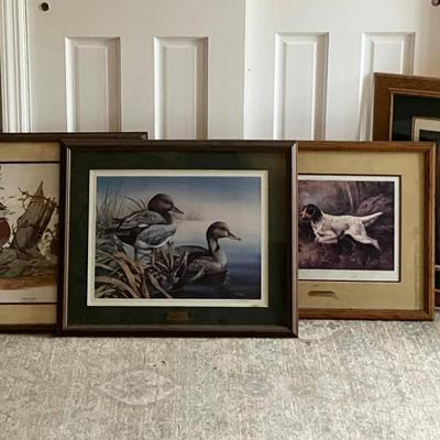 Signed and Numbered Duck Prints