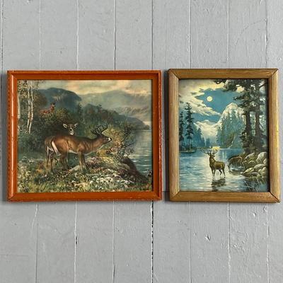 Sale Photo Thumbnail #150