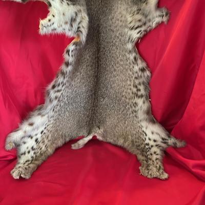 Animal skin Decor