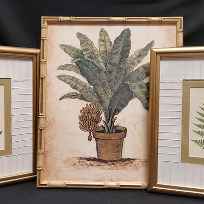 THREE FRAMED FLORAL PRINTS