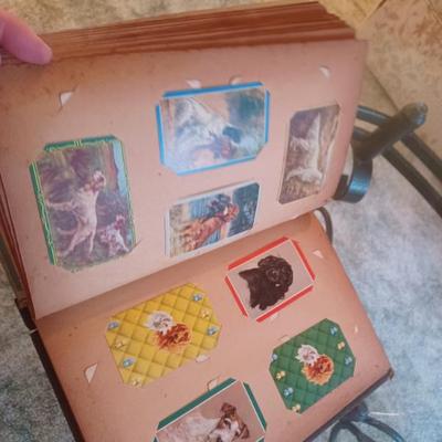 Sale Photo Thumbnail #149