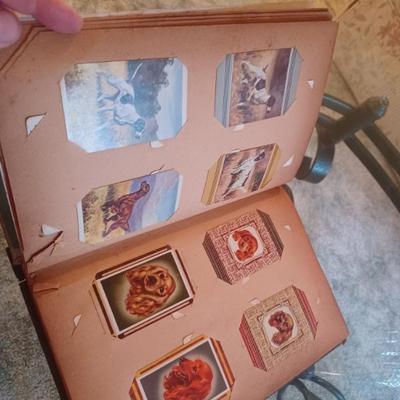 Sale Photo Thumbnail #152