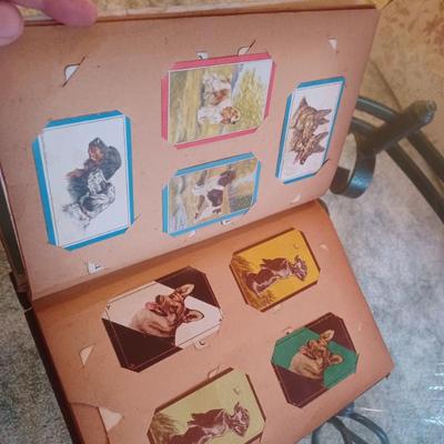 Sale Photo Thumbnail #153
