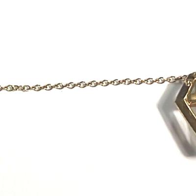 10K Top WSCS Lapel Pin 