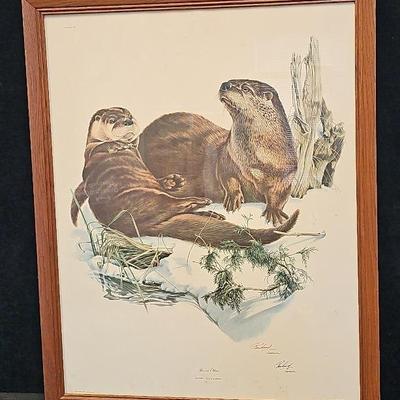 'River Otter' By Richard Timm Signed Art Print