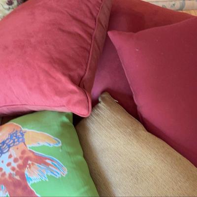 Assorted Couch Pillows
