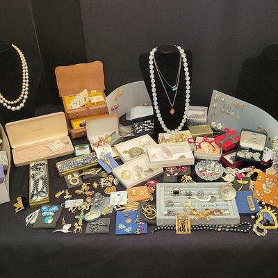 Costume Jewelry Variety (BR1)