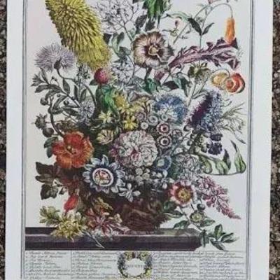 Sale Photo Thumbnail #248: VINTAGE COLONIAL WILLIAMSBURG ROBERT FURBER FRUIT & FLOWER PRINTS