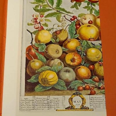 Sale Photo Thumbnail #246: VINTAGE COLONIAL WILLIAMSBURG ROBERT FURBER FRUIT & FLOWER PRINTS