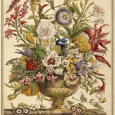 Sale Photo Thumbnail #249: VINTAGE COLONIAL WILLIAMSBURG ROBERT FURBER FRUIT & FLOWER PRINTS