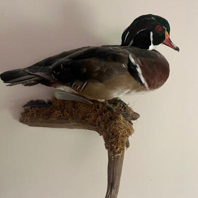 Sale Photo Thumbnail #45