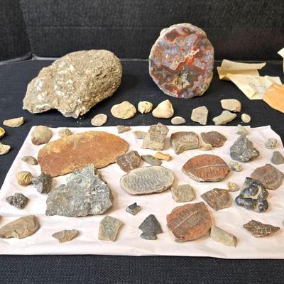 Ancient Fossils, Geode, Arrowhead, Coral