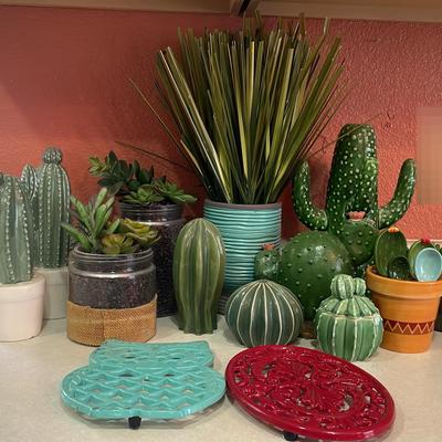 Cactus On The Counter   