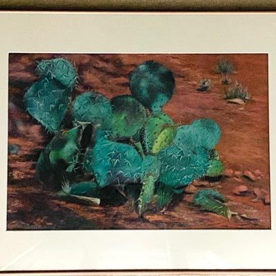 “Cacti” By Ann Mowery