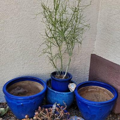 Blue Pots & More