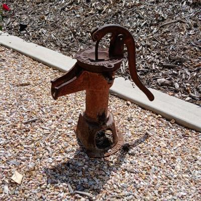 Vintage Eagle Water Pump