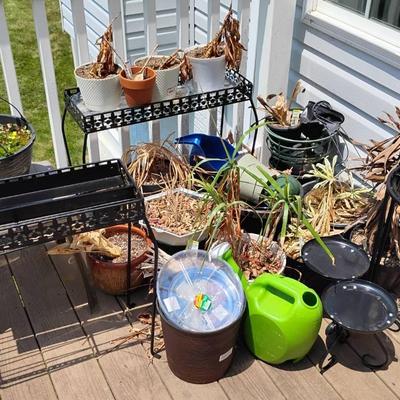 Planters, Plant Stands & Fertilizer 