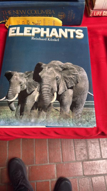 Sale Photo Thumbnail #13
