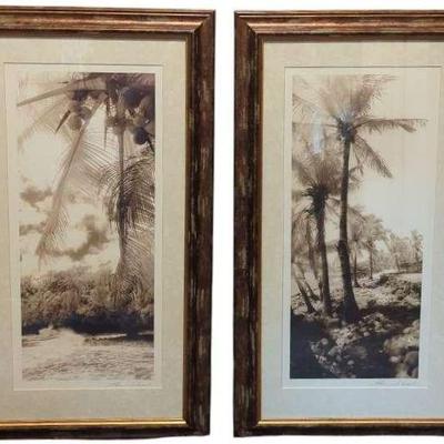 Framed Palm Trees 