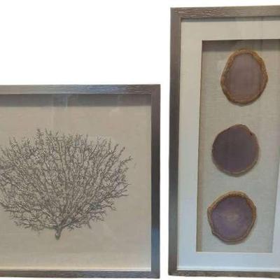 Framed Artistic Nature