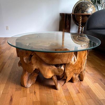 Elegant Organic Burl Wood and Glass Coffee Table