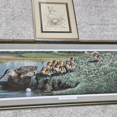 Framed Wildlife Art Prints – Mallard Ducks & Nest Sketch
