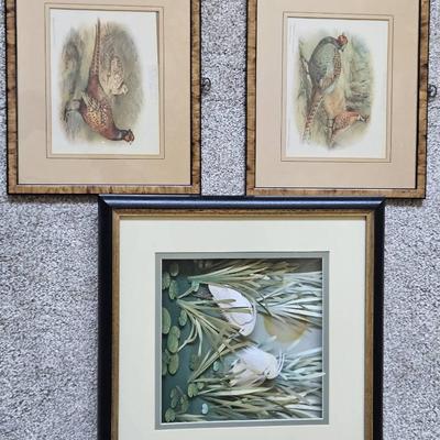 Trio of Framed Bird Art Prints – Pheasants & Water Birds