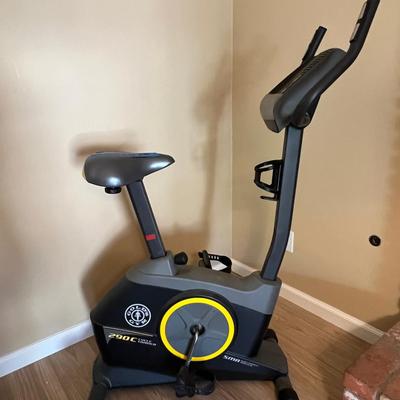 Gold’s Gym Upright Exercise Bike for Home Fitness Gym.  290C Cycle Trainer