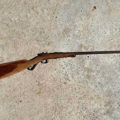 Ball Bearing Gun 