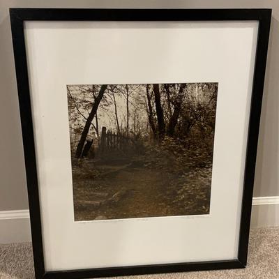 Framed & Signed Photograph "Path To Potomac River Bridge, 1998"