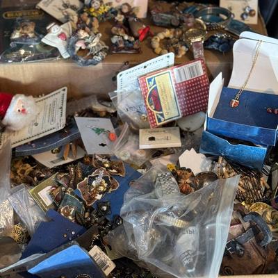 Lot 173:  Mystery Box.. Many Bearware Pins, Watches, Earrings, And More!!