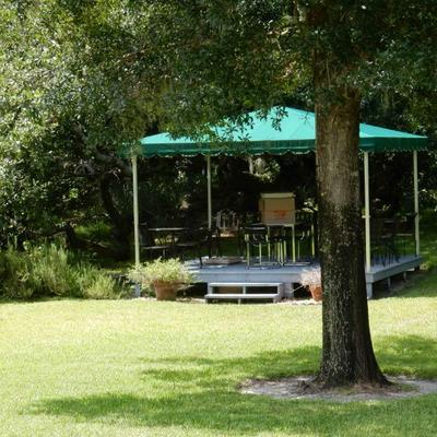 Back behind the Gazebo is one of the most beautiful old oak tree that I have ever seen. So if you're up for the hike in the...