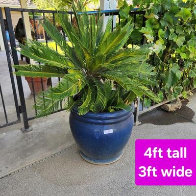Sale Photo Thumbnail #28