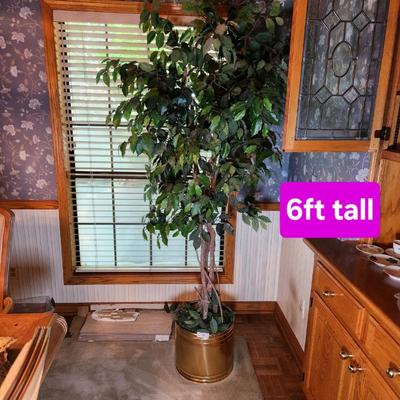 Sale Photo Thumbnail #215
