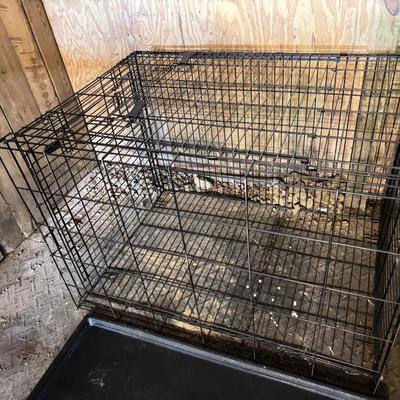 Large Kennel