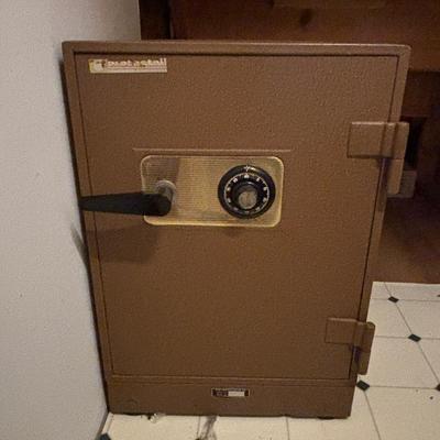 Protectall Safe