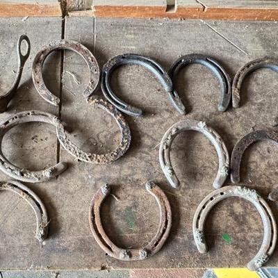 Horse Shoes And Bit