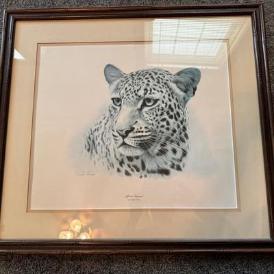 African Leopard By Charles Frace