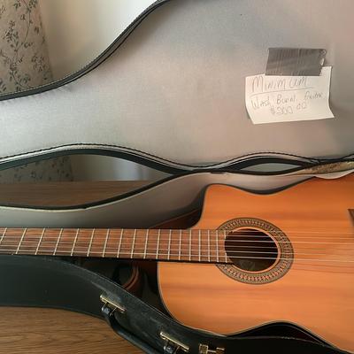 Washburn Classical Acoustic/Electric Guitar With Hard Shell Case