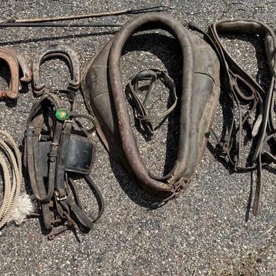 Antique Horse Equipment 