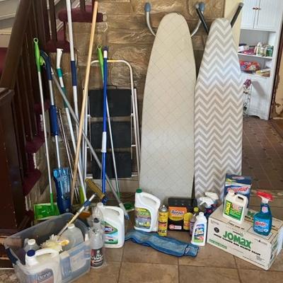 Household Cleaning Lot