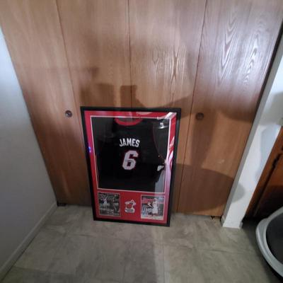 11 james chicago bulls autograhed jersey
