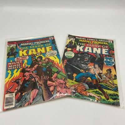 Lot 8505 mark of kane