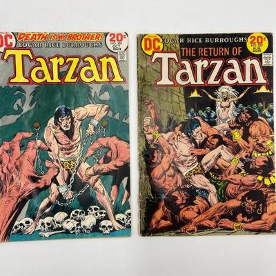 Lot 8808 dc tarzan