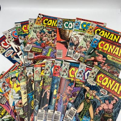 Lot 8502 conan